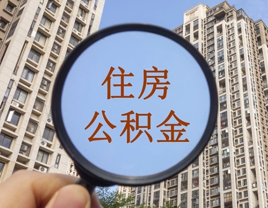 信阳退休后查不到公积金明细了吗（退休后公积金查询不到原因）